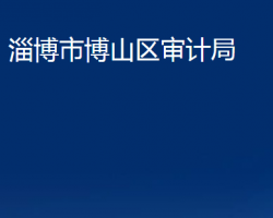 淄博市博山區(qū)審計(jì)局