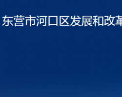 東營市河口區(qū)發(fā)展和改革局