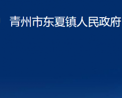 青州市東夏鎮(zhèn)人民政府