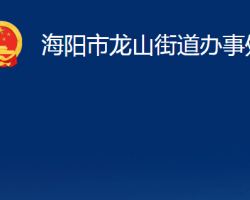 海陽市龍山街道辦事處政務(wù)服務(wù)網(wǎng)入口