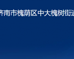 濟(jì)南市槐蔭區(qū)中大槐樹(shù)街道辦事處