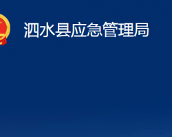 泗水縣應(yīng)急管理局