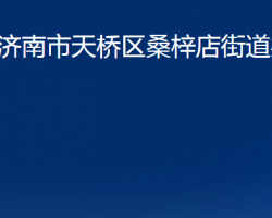 濟(jì)南市天橋區(qū)桑梓店街道辦事處