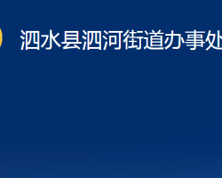 泗水縣泗河街道辦事處政務服務網(wǎng)入口