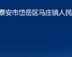 泰安市岱岳區(qū)馬莊鎮(zhèn)人民政府