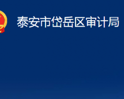 泰安市岱岳區(qū)審計(jì)局