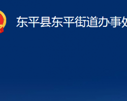 東平縣東平街道辦事處政務服務網(wǎng)