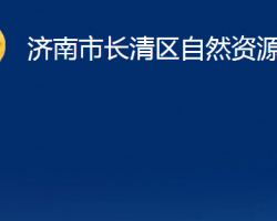 濟(jì)南市長清區(qū)自然資源局