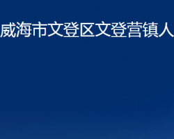 威海市文登區(qū)文登營(yíng)鎮(zhèn)人民政府