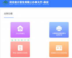 保定市計劃生育網(wǎng)上辦事大廳入口