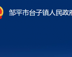 鄒平市臺(tái)子鎮(zhèn)人民政府