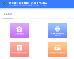 衡水市計劃生育網(wǎng)上辦事大廳入口