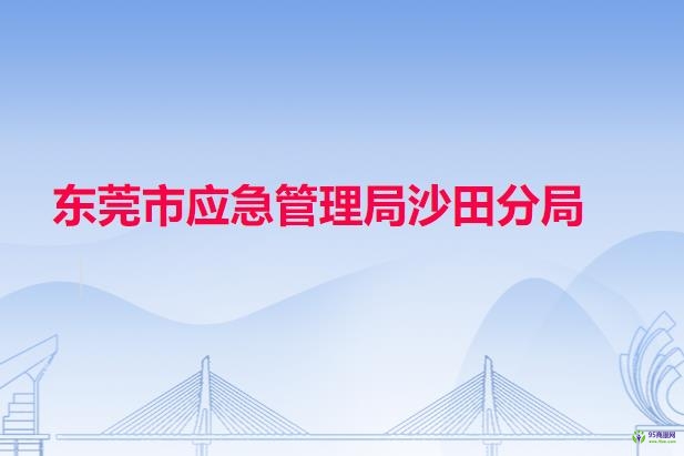 東莞市應急管理局沙田分局