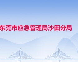 東莞市應(yīng)急管理局沙田分局