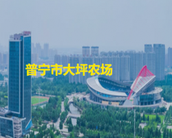 普寧市大坪農(nóng)場(chǎng)