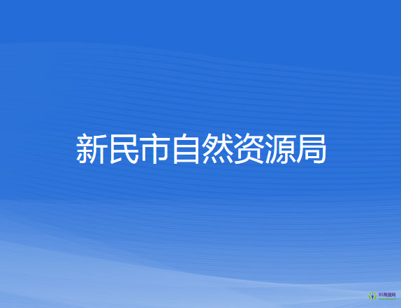 新民市自然資源局