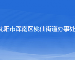 沈陽市渾南區(qū)桃仙街道辦事處