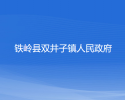 鐵嶺縣雙井子鎮(zhèn)人民政府