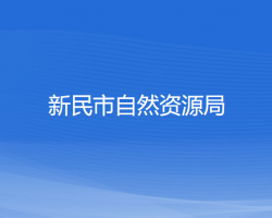 新民市自然資源局