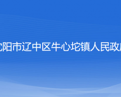 沈陽市遼中區(qū)牛心坨鎮(zhèn)人民政府