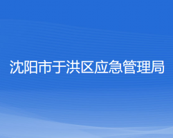 沈陽市于洪區(qū)應(yīng)急管理局