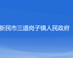 新民市三道崗子鎮(zhèn)人民政府