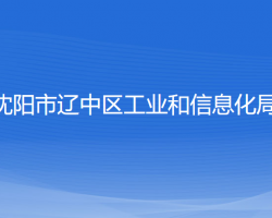 沈陽市遼中區(qū)工業(yè)和信息化局