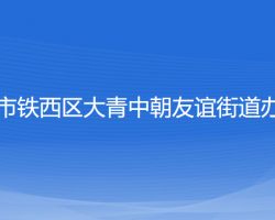 沈陽(yáng)市鐵西區(qū)大青中朝友誼街道辦事處