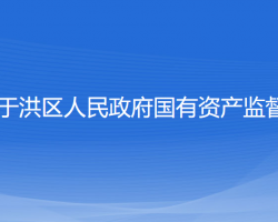 沈陽市于洪區(qū)人民政府國有