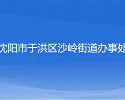 沈陽市于洪區(qū)沙嶺街道辦事處