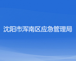 沈陽市渾南區(qū)應(yīng)急管理局