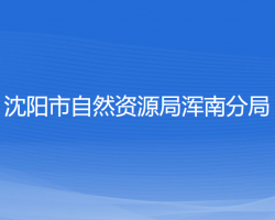 沈陽市自然資源局渾南分局