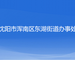 沈陽市渾南區(qū)東湖街道辦事處