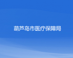 葫蘆島市醫(yī)療保障局