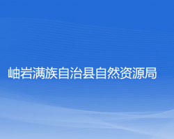 岫巖滿族自治縣自然資源局