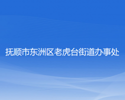 撫順市東洲區(qū)老虎臺街道辦事處