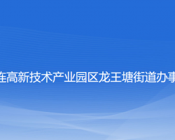 大連高新技術(shù)產(chǎn)業(yè)園區(qū)龍王塘街道辦事處政務(wù)服務(wù)網(wǎng)