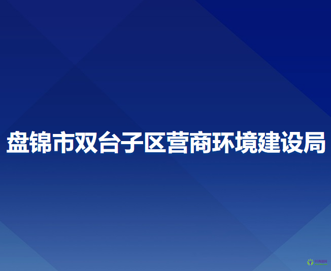 盤錦市雙臺子區(qū)營商環(huán)境建設(shè)局