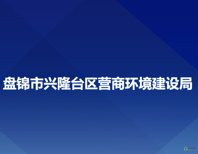 盤錦市興隆臺區(qū)營商環(huán)境建設(shè)局