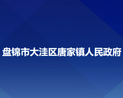 盤錦市大洼區(qū)唐家鎮(zhèn)人民政府