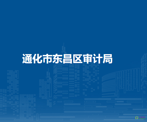 通化市東昌區(qū)審計局