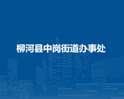 柳河縣中崗街道辦事處網(wǎng)上辦事大廳