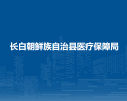 長白朝鮮族自治縣醫(yī)療保障