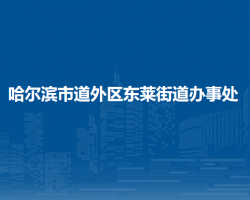 哈爾濱市道外區(qū)東萊街道辦事處