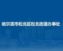 哈爾濱市松北區(qū)松北街道辦事處