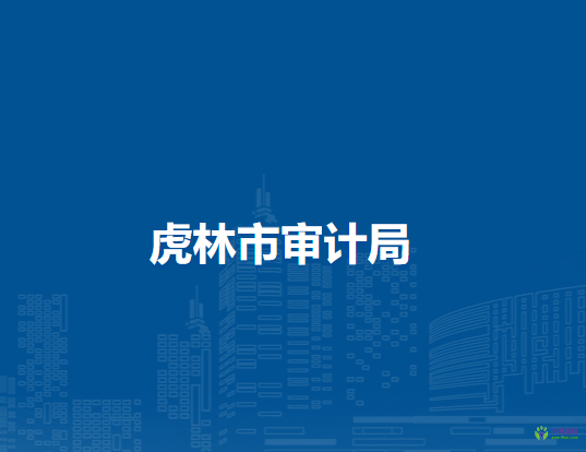 虎林市審計(jì)局