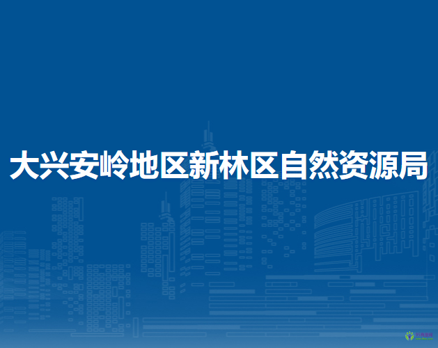 大興安嶺地區(qū)新林區(qū)自然資源局