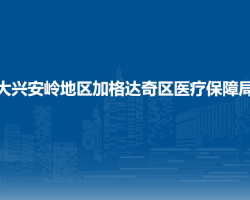 大興安嶺地區(qū)加格達(dá)奇區(qū)醫(yī)療保障局