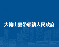 大箐山縣帶領鎮(zhèn)人民政府政務服務網