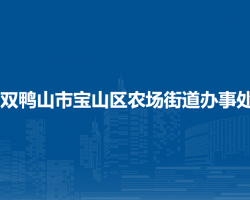 雙鴨山市寶山區(qū)農(nóng)場街道辦事處